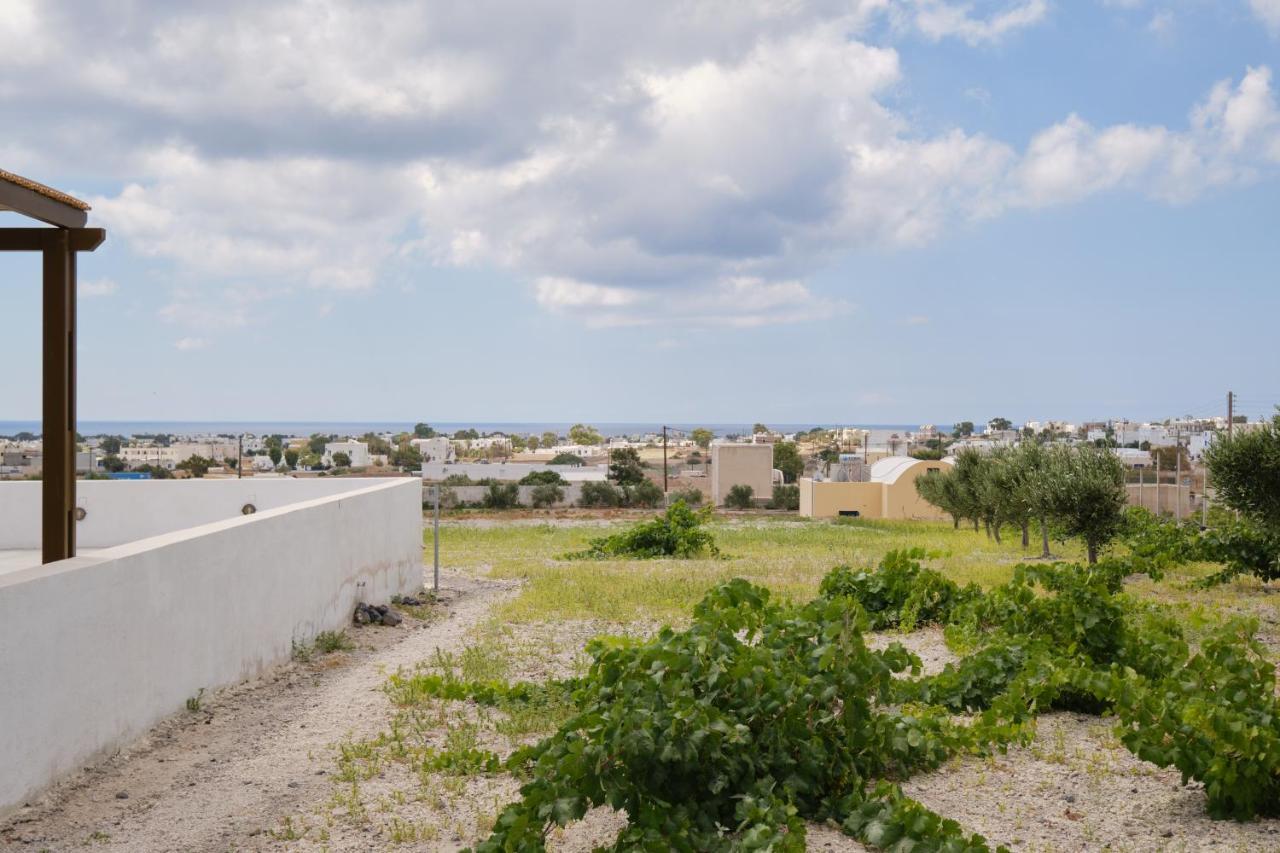 Private Evgenia With Swimming Pool Villa *